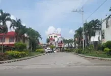 Punong Barangay sa Hibao-an Sur, Mandurriao, wala sang na-monitor nga bag-o kag makaduluda nga Chinese nationals sa Monterosa Subdivision