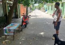 LEEO, ginpanginwala nga pamulitika ang rason kon ngaa ginpahalin ang anay parking attendant nga si Josie Bendanillo