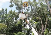 Former Buenavista, Guimaras Mayor Eugene Reyes, nagalaum nga masabat sang GUIMELCO ang ERC kaangot sa mataas nga electricity rate sa Guimaras