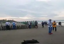 Ilonggos, nagpakigbahin sa selebrasyon sang International Coastal Clean-up Day