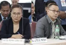 Alleged former Davao Death Squad members Garma kag Leonardo, pasakaan sang kaso nga murder