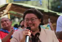 Pagtunga sa Antique sa duha ka distrito, nagtulod kay Governor Rhodora Cadiao agud magpapili bilang Congresswoman