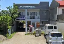 Bana nga nagaselebrar sang birthday kag iya asawa, ginluthang sang ila paryente sa Jibao-an, Pavia