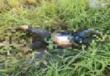 Tigulang nga 3 ka adlaw nga missing, nasapwan nga patay sa talamnan sa Pototan