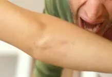 Manunudlo, ginkagat ang duha ka mga estudyante nga ginapahayag nga namalibad nga magpakita sang abs
