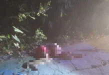 Suspek sa pagbuno-patay sa mangunguma sa Banate, nagapabilin nga at large