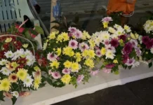 Pila ka mga flower vendors sa Iloilo City, pierde sa una nga adlaw sang baligya-anay sang bulak sa syudad