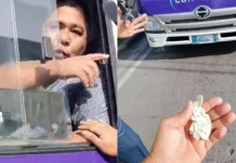 Driver nga nagkumos sang citation ticket nga gin-issue sang Traffic Enforcer, nakaguwa kasunod sang iya pagpyansa
