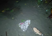 Lalaki sa Brgy. Talauguis, Zarraga, Iloilo, patay matapos nga nakuryente