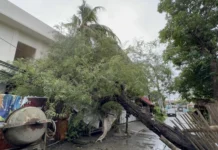 Sige-sige nga pagbubo sang ulan sa Iloilo City, ginalantaw sang CDRRMO nga isa ka concern para sa mga low lying areas