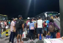 Malawig nga pila sa Tagbak Terminal subong nga Pista Minatay, nagtuga sang kagutom kag kakapoy sa mga pasahero