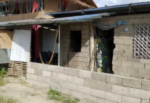 Kaso nga rape with homicide, napasaka na sa suspek nga naglugos kag nagpatay sa isa ka iloy sa Arante, Sara, Iloilo