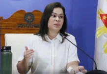 Law expert, gin-athag nga wala sang paglapas nga nahimo si VP Sara Duterte sa pagtiner sini sa Kamara kaupod ang iya nga utod nga si Cong. Paolo Duterte