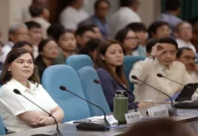 Panel sa Kamara, posible mag-rekomendar sang plunder case vs Sara bangud sa P112.5-M confidential funds