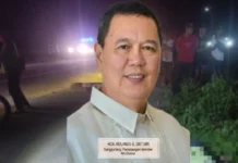 BM Distura, ginplastar ang iya mga suhestyon agud malikawan ang mga aksidente sa dalanon