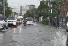 Iloilo, may 181 na nga kaso sang leptospiris subong nga tuig