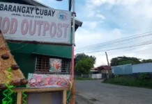 Anak, aksidente nga natiruhan ang iya iloy sa Jaro, Iloilo City