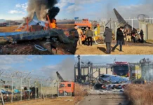 Tragedy at Muan International: What Caused the Jeju Airplane Crash?