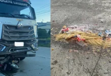Christmas Tragedy: Man Carrying Christmas Feast for Family Killed in Truck Collision in Lanit, Jaro