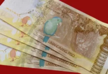 3 family members shot dead after refusing to lend money