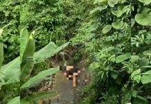 Three Suspects Under Investigation in Mysterious Murder of Man in Lambunao, Iloilo