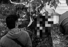 7 patay lakip ang 2 ka menor-de-edad matapos nga nag-overshoot ang isa ka L300 van sa Magsangyaw, Tupi, South Cotabato