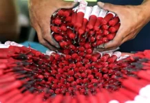 IPHO, nagpanugyan sa mga ginikanan nga indi pagpahanugutan ang mga kabataan nga magpalupok