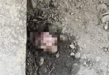 Iloy nga nagbilin sang iya kapid nga fetus sa compound sang DENR Region 6, wala pa nakilala