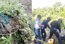 Isa ka MK 2 Hand Grenade nakit-an sa isa ka garden sa Sitio Palatac, Brgy. Pili, Ajuy, Iloilo
