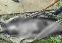Man hacks relative to death during drinking session in Lambunao, flees with weapon