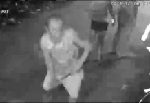 Pamilya Roscales kag Semeniego sang M.V. Hechanova, Jaro, nagbanggi-anay bangud sa ‘tarog’ sang atop