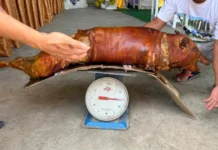 Customer, nagpa-Bombo matapos nga nagkupos ang ginpa-lechon sini nga baboy halin 45kg, nangin 15kg na lamang