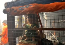 Sr. Sto. Niño image miraculously survives devastating fire in Iloilo City
