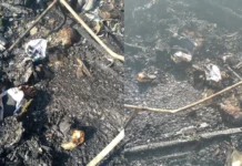 Senior Citizen Dies in Devastating Fire in Rizal Lapuz Sur, Iloilo City
