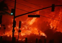 Sunset Fire Ignites in Hollywood Hills, Forces Evacuations Near Runyon Canyon