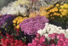 Mga bulak para sa Valentine’s Day, mabakal sa P100-P2,000