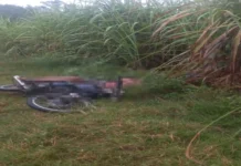 CCTV nga mahimo makatudlo sa nagpatay sa nasapwan nga lalaki sa Brgy. Paga, San Enrique, Iloilo, gina-back track na sang PNP