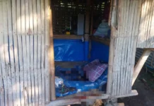 Suspect in Fatal Shooting of Fishpond Guard in Dumangas, Iloilo, Yet to Face Charges