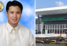 Gerochi Questions Political Motive Behind Iloilo Ferry Terminal Joint Venture Renegotiation