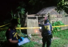 Suspect in Fatal Shooting of Watchman in Dumangas, Iloilo, Remains Unidentified