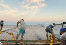 Fishing season sa Visayan sea, bukas na