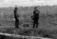 2 ka myembro sang Communist Terrorist Group, patay kasunod sang engkwentro sa tunga sa AFP sa Negros Occidental