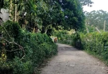 Anay tanod nga nagpalupok sang armas-luthang sa Ticud, La Paz, wala sa gihapon nakapauli sa ila puluy-an