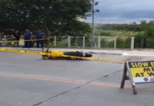 ‘JUSTICE FOR DELFIN BRITANICO’: pag-aresto kay Duterte, dalan padulong sa hustisya
