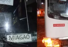 Pedestrian Killed in Vehicular Accident in Tigbauan, Iloilo
