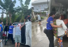 Mother and Daughter Injured After SUV Crashes Into Post and Wall in Passi City
