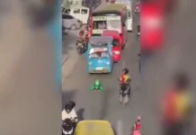 Vlogger pretends to be a snail on busy road, causes traffic jam