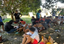 26 Individuals Caught in Illegal Cockfighting in Pandac, Pavia Face Charges