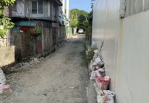 Mayor Treñas, gindagdagan sang cease and desist order ang DPWH bangud sa excavation sa San Pedro, Jaro