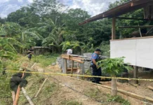 Barangay tanod sa Igbaras, ginlabo-patay sang iya hinablos; Suspek, nagpalagyo dala ang binangon
